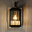 Applique murale d'extérieur 1 lumière noire et dorée Airmont