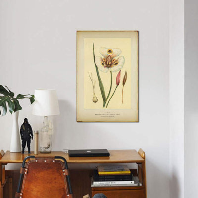 «Mariposa Lily», reproduction sur toile