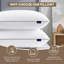 Oreiller blanc en microfibre moelleux et coussin de chambre d'hôtel (ensemble de 2)-102897518