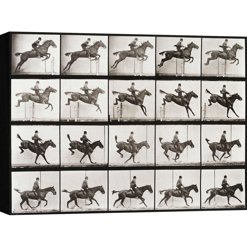Vintage Photograph: Animal Locomotion, Plate 637 by Eadweard Muybridge - Wrapped Canvas Print, 90cm H x 120cm W