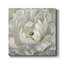 «Perfect Peony», reproduction d'art sur toile tendue-1948614615