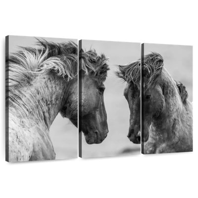 Chevaux de combat monochromes