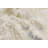 Shabari Abstract Indoor Rug