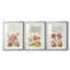 Hoefnagel Tropical Specples VI - Impression sur mesure encadrée de qualité supérieure - 3 pièces-1822631899-1822631895