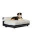 Canapé pour chien Soho-48425303-48425307