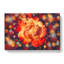 Orange Rose Flower - Wrapped Canvas-61842478