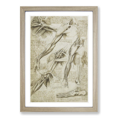 Leonardo Da Vinci - Single Picture Frame Painting