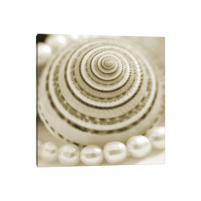 Shells And Pearls 1 - Print on Canvas