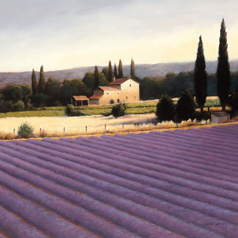 Lavender Fields II Crop by James Wiens - Wrapped Canvas Painting, 30cm H x 30cm W