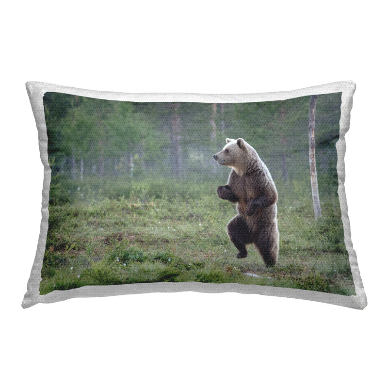 Outdoor Throw Pillow