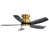 Gold/Black Blade