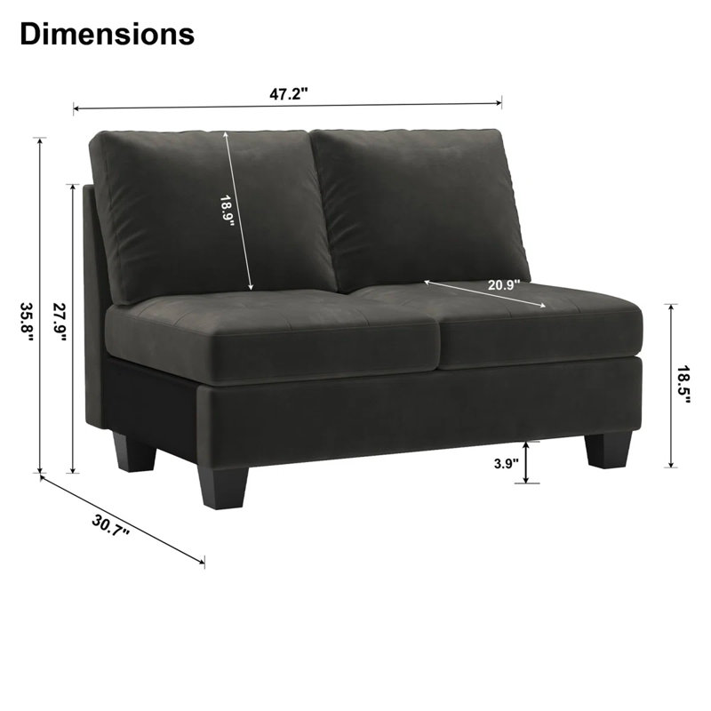 Eyram Velvet Armless 2 Seater Chair, Double Seat Module For Modular Sofa Sectional Couch, Gray Velvet