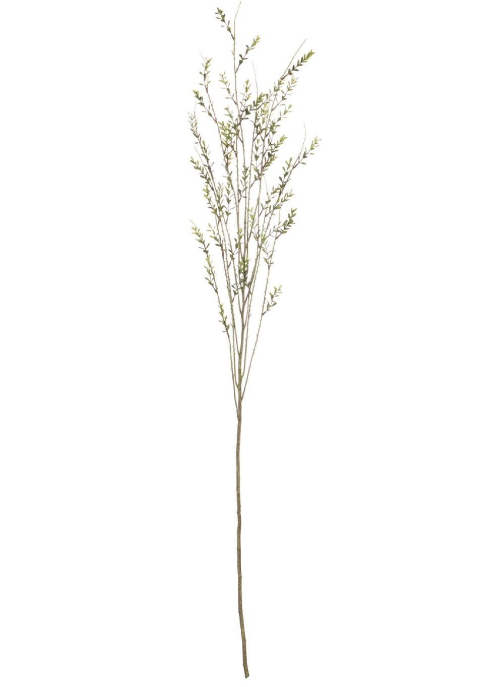 Mini Leaf Stems