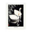 Bernache blanche bolognaise nageant par Reeds sur toile par pictufy print