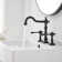Widespread 2-handle Bathroom Faucet with Drain Assembly