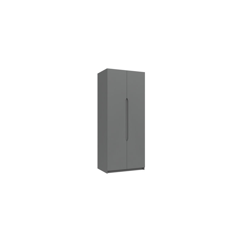 Alianys 2 Door Manufactured Wood Wardrobe, Dust Grey Gloss