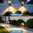 All-in-One Low Voltage Landscape Lighting Kit with Timer Transformer, 6W LED Spotlights, 2700K, IP66 Waterproof, 12-24V Outdoor Lighting-127238184