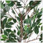 Ficus artificiel avec pot-1532519814