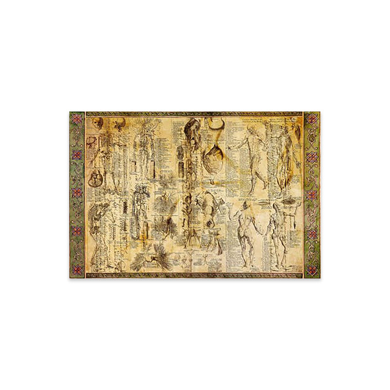 " Anatomical Chart ", 16" H x 24" W x 0.25" D