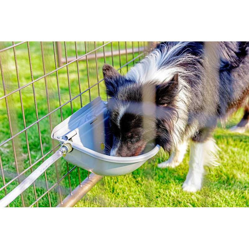 Large Automatic Powder-Coat Steel Pet Waterer