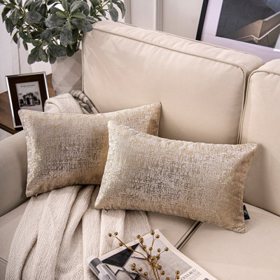 Bronzing Velvet RY Collection Polyester Throw Pillow Cover & Insert