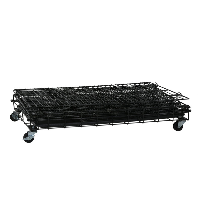 Cage pour chat Cage pour chat à 4 niveaux en métal 48 pouces avec chenil et hamac gratuit 3 lits pour chat 2 portes avant 3 échelles rampes