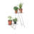 Calydon Plant Stand-1975054914