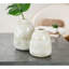 Urne Surber-28124637