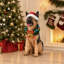 Christmas LED Lights Figurine
