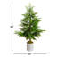 5' Pine Christmas Tree