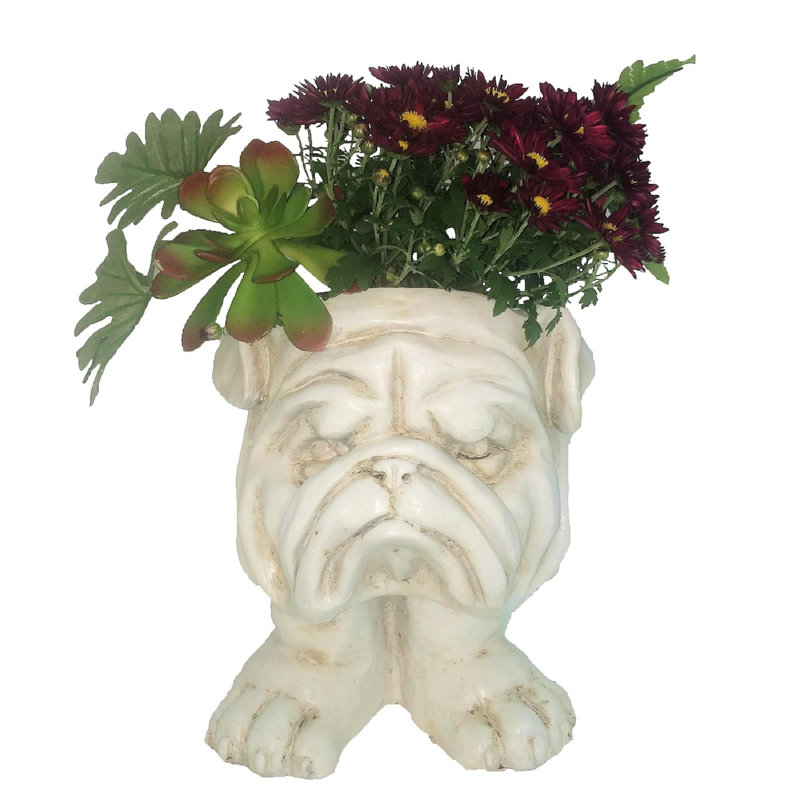 Muggly's Bulldog Mascot Animal Statue Planter, Antique White