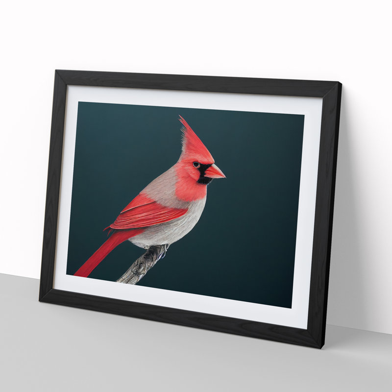 Cardinal Bird Vol.1 - Single Picture Frame Print, Black Framed, 25cm H x 34cm W x 2cm D