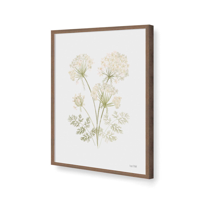 «Anne's Lace I» par House Fenway, reproduction d'art, L 30 x H 40, Brun, Impression encadrée