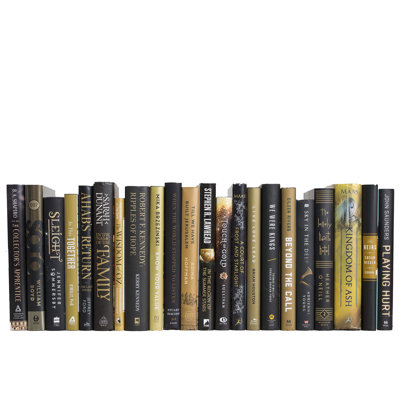 Livres décoratifs - livres sur jaquette d'onyx doré - livres noirs au pied