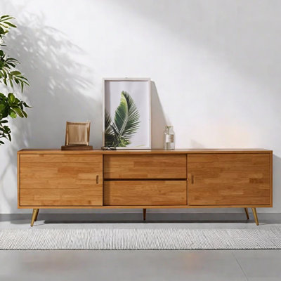 Minimalist retro-style design TV cabinet