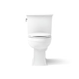 Archer® 1.28 GPF Water Efficient Elongated Two-Piece toilet (Seat Not Included)