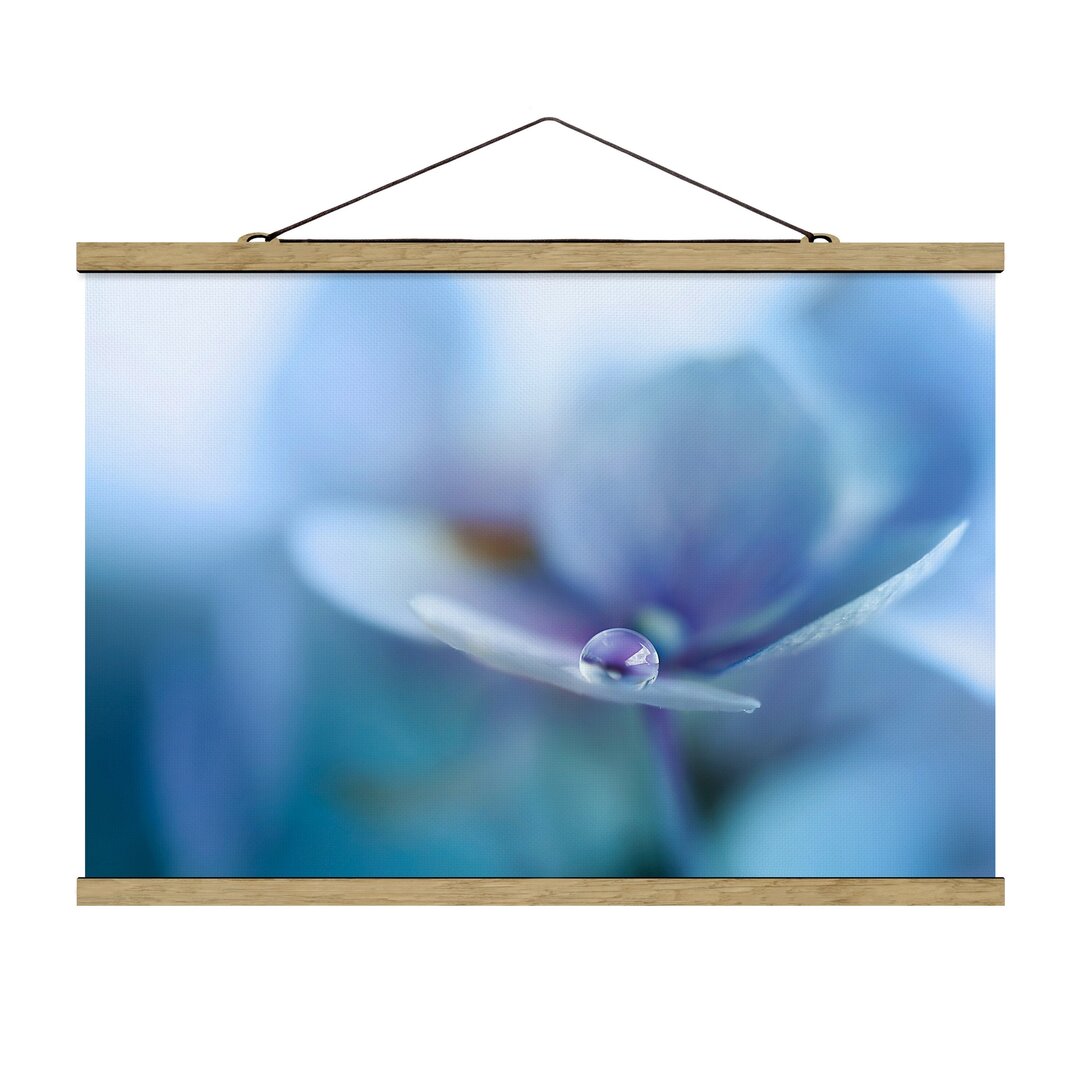 Poster Wassertropfen Hortensie Blume