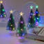 Christmas Decorative Accent