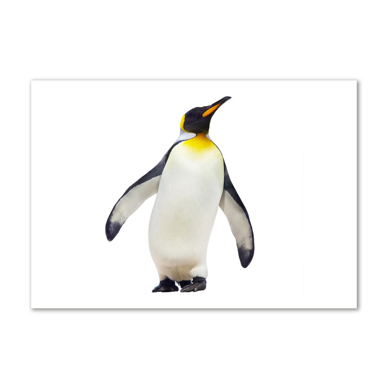 Penguin - Wrapped Canvas Print