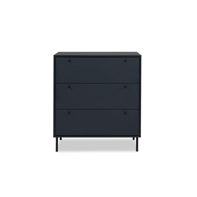 Aydren Modern Storage Unit Accent Chest