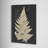 " Linen Fern I "-221848572