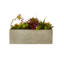 Sydnee 19cm Succulent in Cement Planter