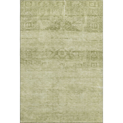 Premium Machine Washable Lampkins AMF1647 Global Rug