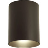 Cylinder Flush Mount