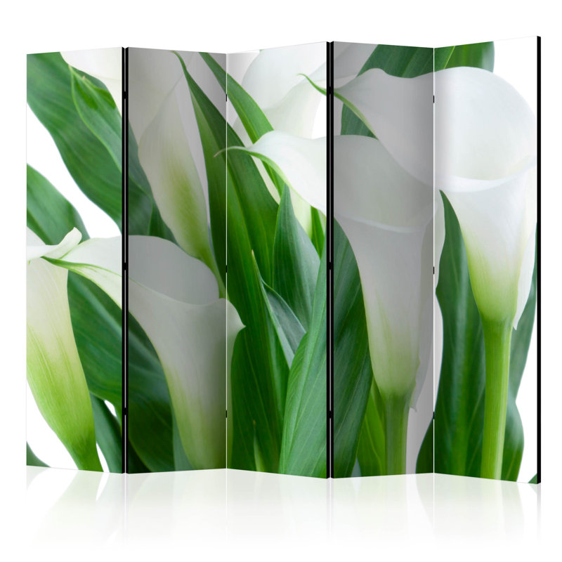 225cm W x 172cm H 5 - Panel Solid Wood Folding Room Divider
