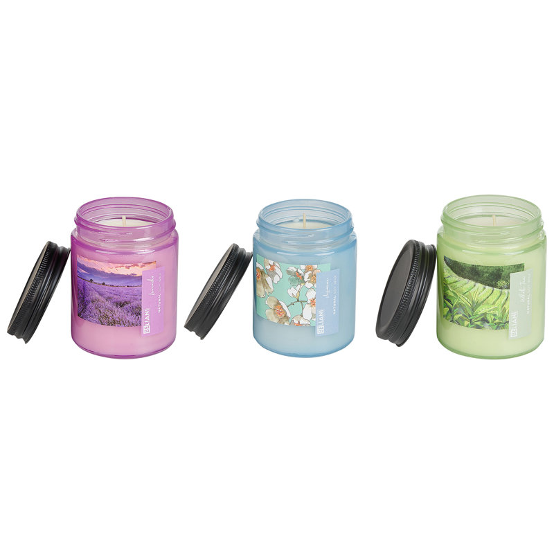 Scented Jar Candle, Blue/Green/Violet, Floral/Plant