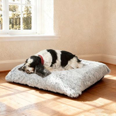 Lit pour chien Serta Cozy