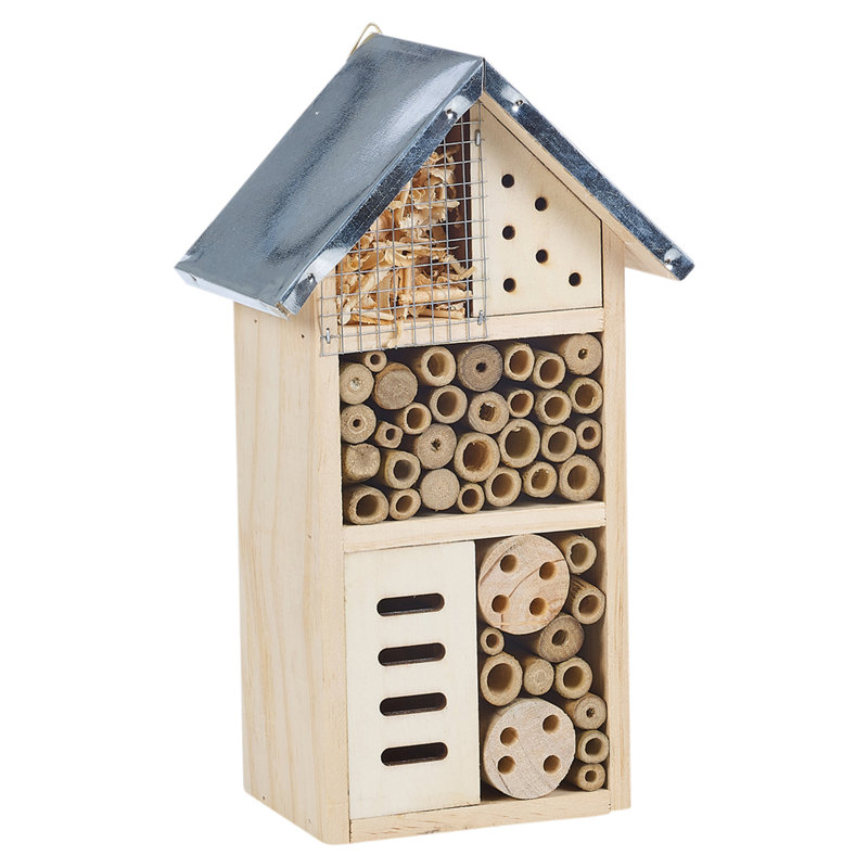 Amberboi Mounted Insect House