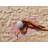 Beach Towel-1473394885