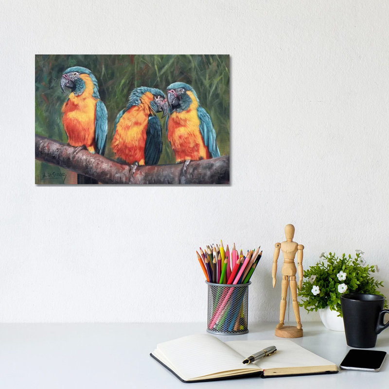 Macaws by David Stribbling - Wrapped Canvas Painting, 20.32 cm H x 30.48 cm W